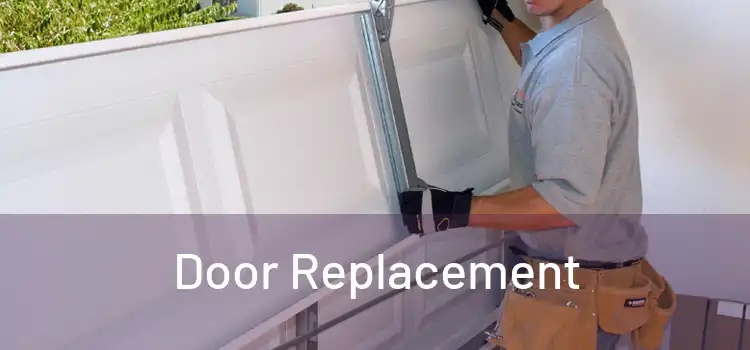  Door Replacement 