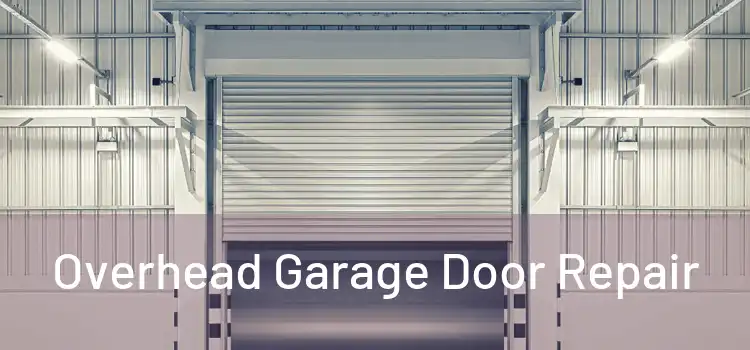  Overhead Garage Door Repair 